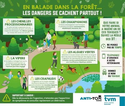 danger en foret